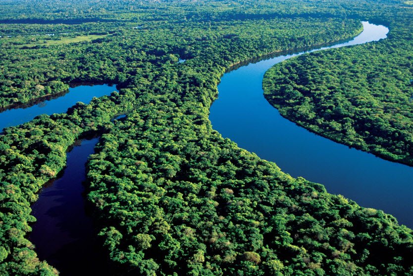 Amazon River (Peruvian stretch), Loreto Region (Iquitos), Peru